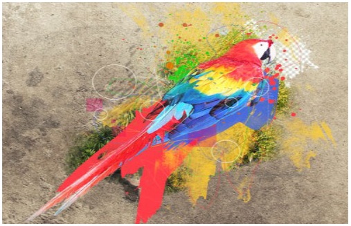 Parrot Psdtuts 99 in 