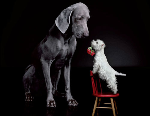 Interesting-advertisement-21 in 