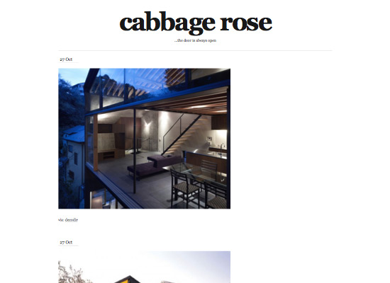 Cabbagerose in 