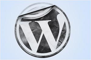 using wordpress